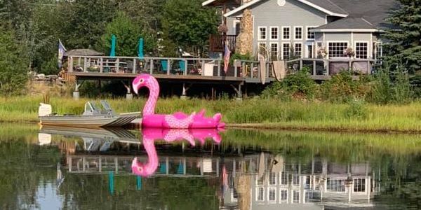 flamingo-lake-p-allman_58.jpg